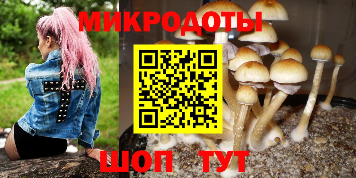 Псилоцибиновые грибы мухоморы Белогорск